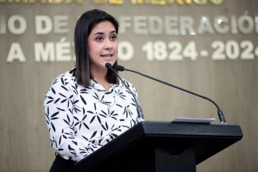 Diputada Erika Mendoza invita a visitar “Chiapas, extraordinario por naturaleza”.