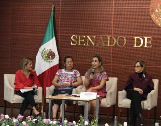 Presidenta Marcela Castillo da a conocer alcances de la Ley de Paridad Efectiva en Senado de la República
