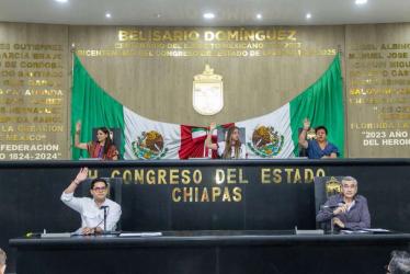 Exhorta Congreso al INAH a eliminar cobros en zonas arqueológicas a personas de la tercera edad, jubilados y estudiantes